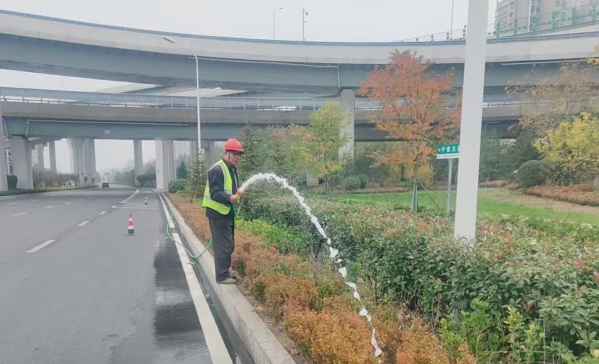 绿化工程